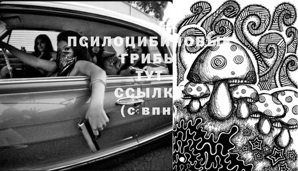 стафф Магадан