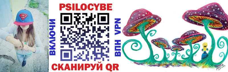 Галлюциногенные грибы мухоморы  Купить закладки  Шацк 